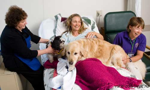 Канистерапия - лечение собаками