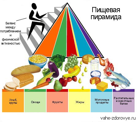 пирамида здорового питания
