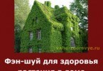 фэн-шуй для здоровья - растения